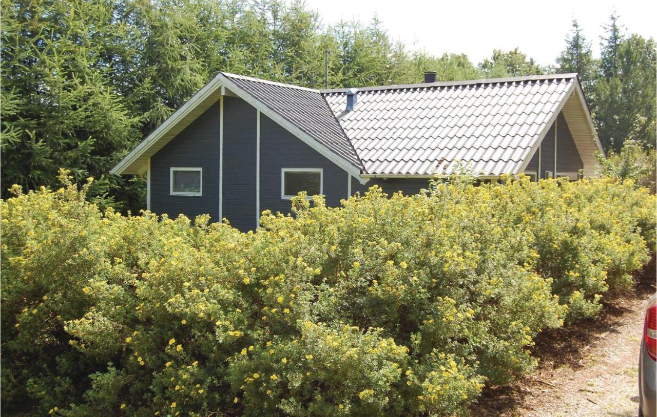 Pet Friendly Home In Oksbol With Wifi Exterior photo
